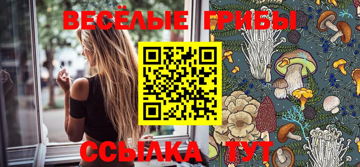 Галлюциногенные грибы Magic Shrooms  Псилоцибиновые грибы Magic Shrooms  Вход с VPN  Новотроицк 